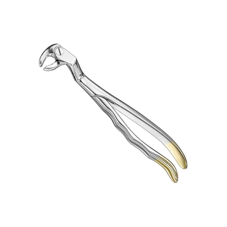 Extracting forceps, anat.